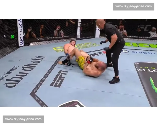 四连降服!沃尔特 - 沃克的足跟勾统治级表演 四连降服!沃尔特 - 沃克的足跟勾统治级表演