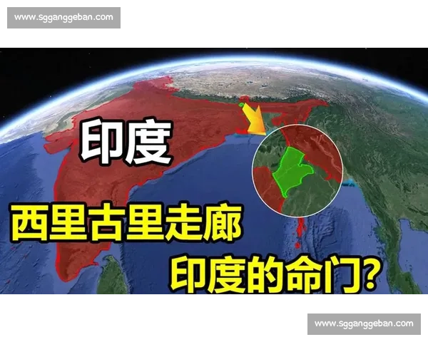 印度VS全球产业链重构背景下的新竞争格局与战略走向前瞻观察