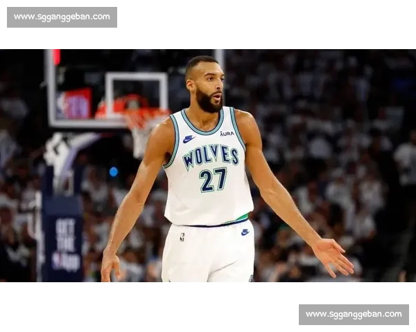 国王对决森林狼西部卡位战核心球员表现引爆焦点之夜胜负悬念十足