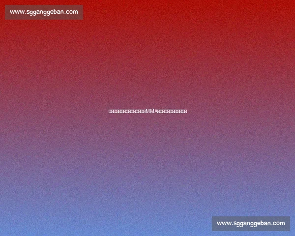 安德森席尔瓦对决松恩巅峰恩怨与MMA历史经典之战回顾全景解析