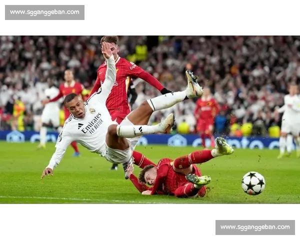 欧国联焦点战比利时迎战英格兰豪强对决看点十足实力碰撞引爆悬念