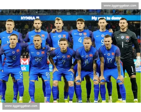 聚焦对阵北爱尔兰之战解析球队战术变化与胜负看点赛前前瞻关键走向